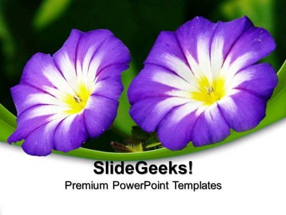Purple Flower Nature PowerPoint Templates And PowerPoint Themes 0512