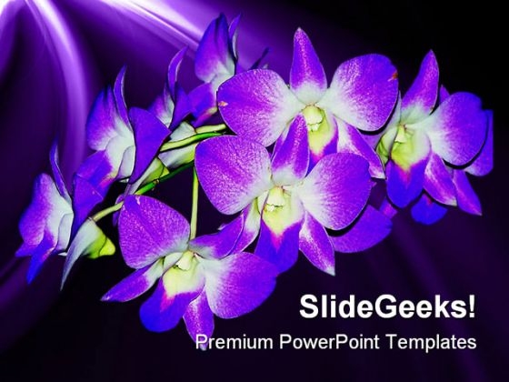 Purple Orchid Nature PowerPoint Template 0610