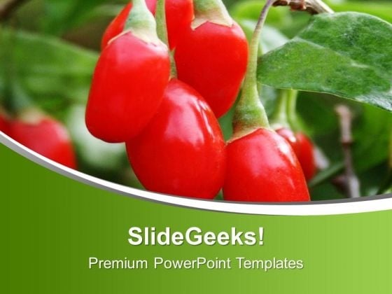 Red And Chilli Pepper PowerPoint Templates Ppt Backgrounds For Slides 0613 Red And Chilli Pepper PowerPoint Templates Ppt Backgrounds For Slides 0613