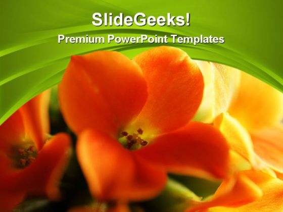 Red And Yellow Flower Beauty PowerPoint Themes And Slides 0311 Red And Yellow Flower Beauty PowerPoint Themes And Slides 0311