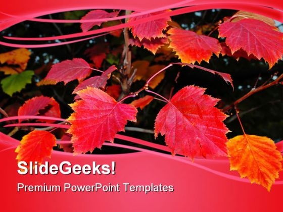 Red Autumn Leaves Nature PowerPoint Themes And PowerPoint Slides 0411 Red Autumn Leaves Nature PowerPoint Themes And PowerPoint Slides 0411