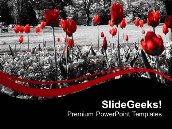 Red Flower With Black Background PowerPoint Templates Ppt Backgrounds For Slides 0713 Red Flower With Black Background PowerPoint Templates Ppt Backgrounds For Slides 0713