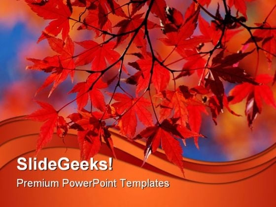 Red Japanese Maple Nature PowerPoint Templates And PowerPoint Backgrounds 0411 Red Japanese Maple Nature PowerPoint Templates And PowerPoint Backgrounds 0411