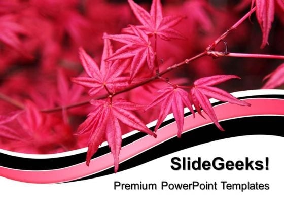 Red Maple Leaf Nature PowerPoint Templates And PowerPoint Themes 0512 Red Maple Leaf Nature PowerPoint Templates And PowerPoint Themes 0512