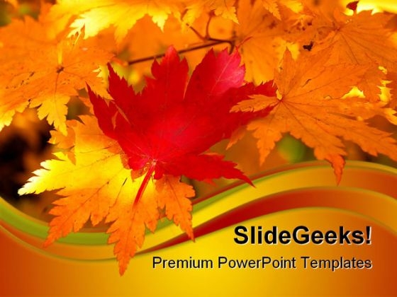 Red Maple Leaf Nature PowerPoint Themes And PowerPoint Slides 0611 Red Maple Leaf Nature PowerPoint Themes And PowerPoint Slides 0611