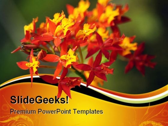 Red Orchid Nature PowerPoint Templates And PowerPoint Backgrounds 0611 Red Orchid Nature PowerPoint Templates And PowerPoint Backgrounds 0611