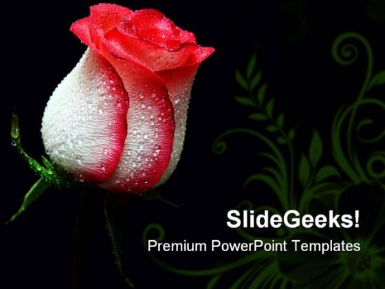 Red Rose Beauty PowerPoint Themes And PowerPoint Slides 0611 Red Rose Beauty PowerPoint Themes And PowerPoint Slides 0611