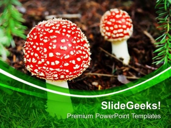 Red Top Mashrooms Nature Theme PowerPoint Templates Ppt Backgrounds For Slides 0613 Red Top Mashrooms Nature Theme PowerPoint Templates Ppt Backgrounds For Slides 0613