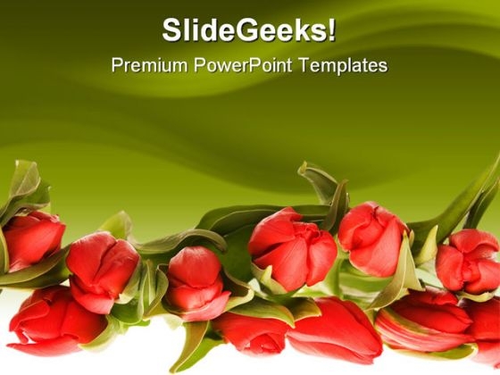 Red Tulips Beauty PowerPoint Template 0810 Red Tulips Beauty PowerPoint Template 0810
