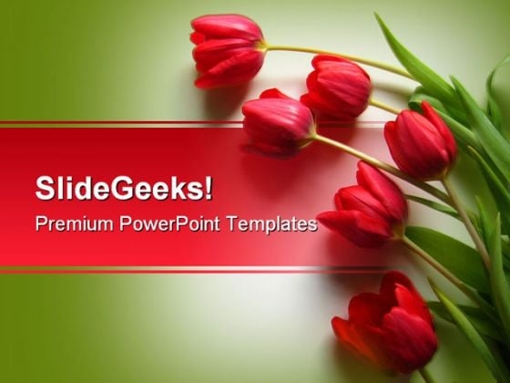Red Tulips Nature PowerPoint Template 0610 Red Tulips Nature PowerPoint Template 0610