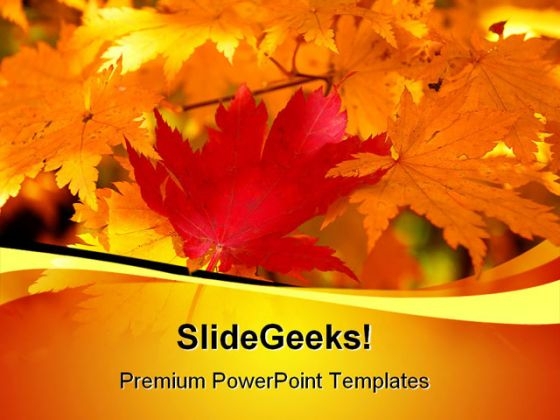 Red Yellow Maple Leaf Nature PowerPoint Templates And PowerPoint Backgrounds 0311 Red Yellow Maple Leaf Nature PowerPoint Templates And PowerPoint Backgrounds 0311