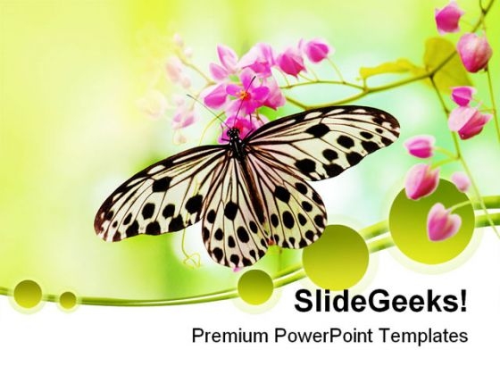 Rice Paper Butterfly Beauty PowerPoint Templates And PowerPoint Backgrounds 0211