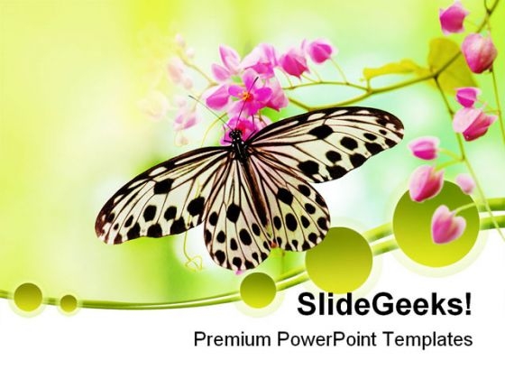 Rice Paper Butterfly Beauty PowerPoint Templates And PowerPoint Backgrounds 0211 Rice Paper Butterfly Beauty PowerPoint Templates And PowerPoint Backgrounds 0211