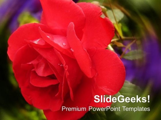 Rose And Petals Background PowerPoint Templates Ppt Backgrounds For Slides 1212 Rose And Petals Background PowerPoint Templates Ppt Backgrounds For Slides 1212