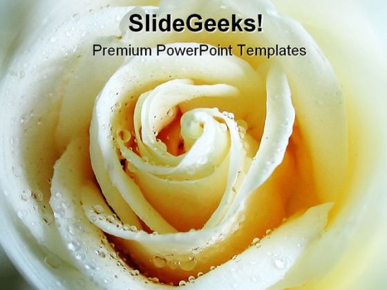 Rose Beauty PowerPoint Template 1110
