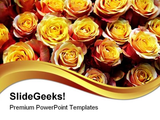 Roses01 Beauty PowerPoint Templates And PowerPoint Backgrounds 0411 Roses01 Beauty PowerPoint Templates And PowerPoint Backgrounds 0411