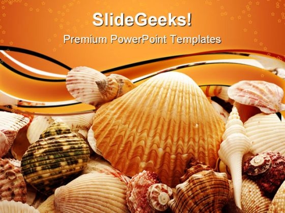 Seashell Background PowerPoint Templates And PowerPoint Backgrounds 0611