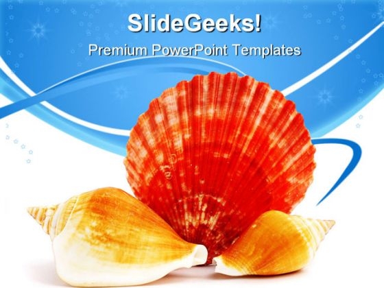 Seashell Beach Beauty PowerPoint Templates And PowerPoint Backgrounds 0611 Seashell Beach Beauty PowerPoint Templates And PowerPoint Backgrounds 0611