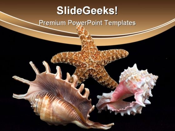 Seashell Composition Beach PowerPoint Templates And PowerPoint Backgrounds 0211