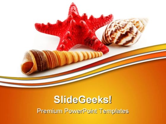 Seashells Starfish Animals PowerPoint Themes And PowerPoint Slides 0511 Seashells Starfish Animals PowerPoint Themes And PowerPoint Slides 0511