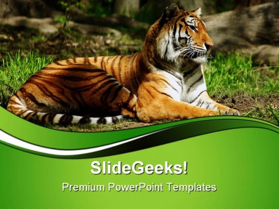 Siberian Tiger Animals PowerPoint Templates And PowerPoint Backgrounds 0611 Siberian Tiger Animals PowerPoint Templates And PowerPoint Backgrounds 0611