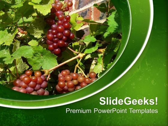 Small Berries With Green Background PowerPoint Templates Ppt Backgrounds For Slides 0613 Small Berries With Green Background PowerPoint Templates Ppt Backgrounds For Slides 0613