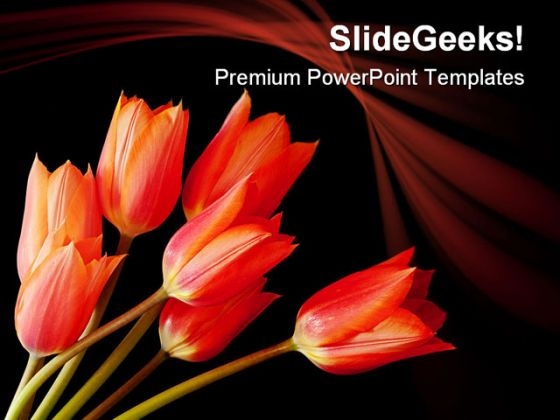 Spray Of Tulips Nature PowerPoint Templates And PowerPoint Backgrounds 0211 Spray Of Tulips Nature PowerPoint Templates And PowerPoint Backgrounds 0211