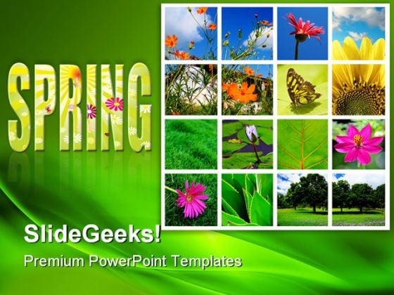 Spring And Nature Collage Beauty PowerPoint Templates And PowerPoint Backgrounds 0811 Spring And Nature Collage Beauty PowerPoint Templates And PowerPoint Backgrounds 0811