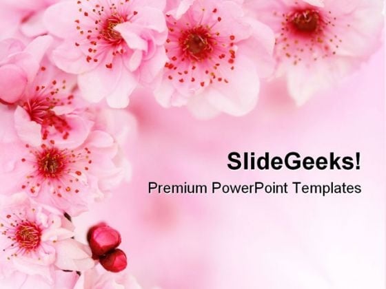 Spring Cherry Flowers Background Beauty PowerPoint Templates And PowerPoint Backgrounds 0611 Spring Cherry Flowers Background Beauty PowerPoint Templates And PowerPoint Backgrounds 0611