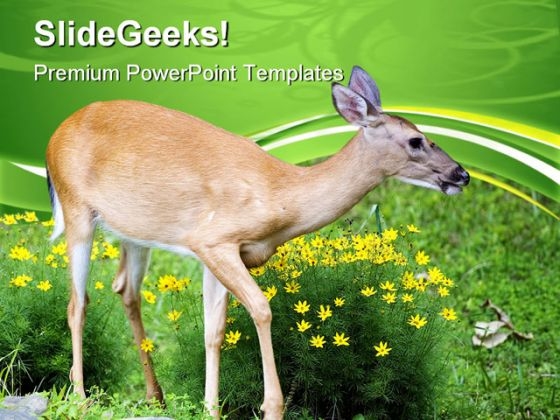 Spring Deer Animals PowerPoint Themes And PowerPoint Slides 0611 Spring Deer Animals PowerPoint Themes And PowerPoint Slides 0611