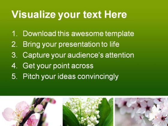 Spring Flowers Beauty Powerpoint Template 0810 - Powerpoint Themes