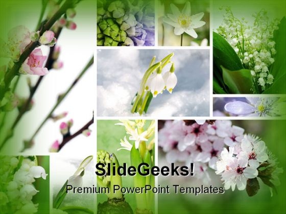 Spring Flowers Beauty PowerPoint Template 0810