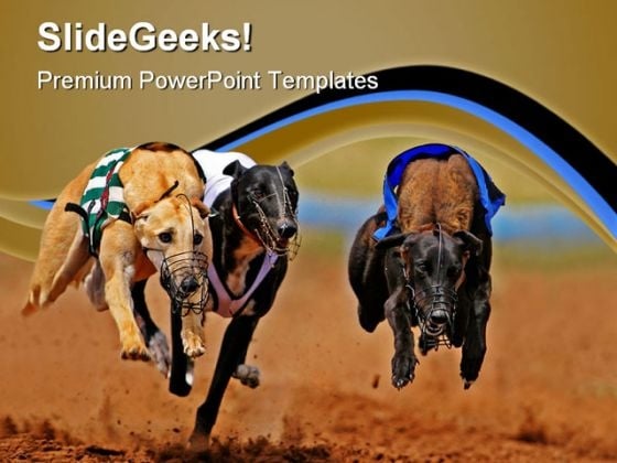 Sprinting Greyhounds Animals PowerPoint Templates And PowerPoint Backgrounds 0811 Sprinting Greyhounds Animals PowerPoint Templates And PowerPoint Backgrounds 0811