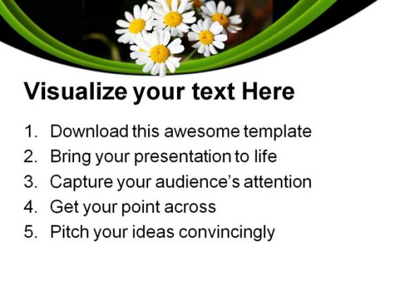 Summer Daisies Nature PowerPoint Templates And PowerPoint Backgrounds 0311 graphical good