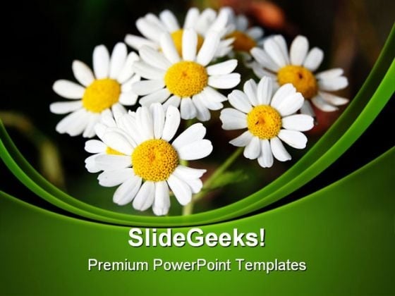 Summer Daisies Nature PowerPoint Templates And PowerPoint Backgrounds 0311 Summer Daisies Nature PowerPoint Templates And PowerPoint Backgrounds 0311