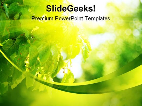 Sun Light Through Leaves Nature PowerPoint Background And Template 1210 Sun Light Through Leaves Nature PowerPoint Background And Template 1210