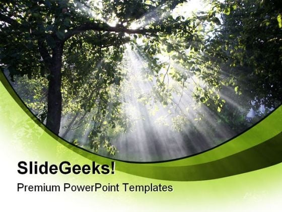 Sun Rays In Forest Nature Powerpoint Template 1110 Powerpoint Themes