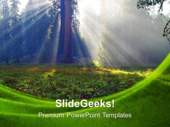 Sunbeams Forest Nature PowerPoint Templates Ppt Backgrounds For Slides 0213