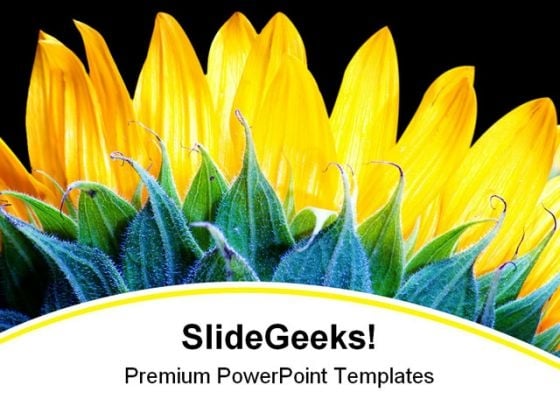 Sunflower Beauty Nature PowerPoint Backgrounds And Templates 1210 Sunflower Beauty Nature PowerPoint Backgrounds And Templates 1210