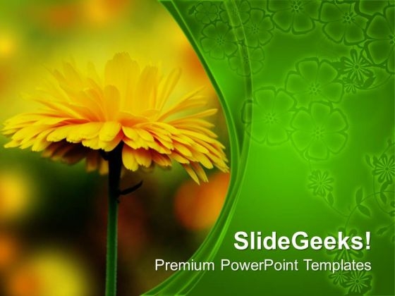 Sunflower For Decoration Celebration PowerPoint Templates Ppt Backgrounds For Slides 0313