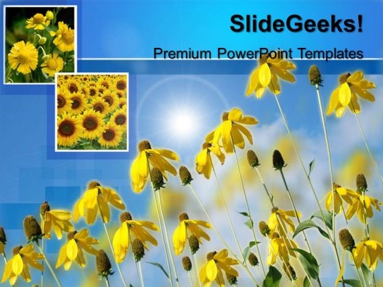 Sunflower Nature PowerPoint Templates And PowerPoint Themes 0512 Sunflower Nature PowerPoint Templates And PowerPoint Themes 0512