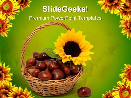 sunflower with chestnuts nature powerpoint templates and powerpoint