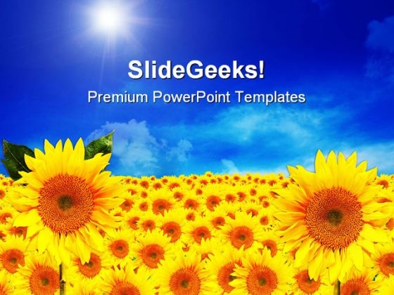 Sunflowers01 Beauty Garden PowerPoint Template 1110