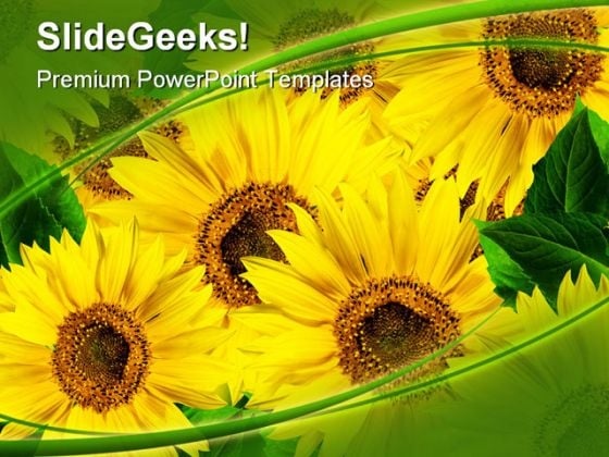 Sunflowers01 Nature PowerPoint Templates And PowerPoint Backgrounds 0311 Sunflowers01 Nature PowerPoint Templates And PowerPoint Backgrounds 0311