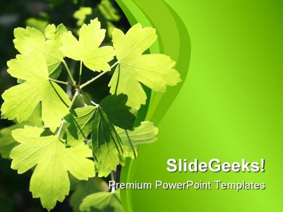 Sunlit Leaves Nature PowerPoint Themes And PowerPoint Slides 0511 Sunlit Leaves Nature PowerPoint Themes And PowerPoint Slides 0511