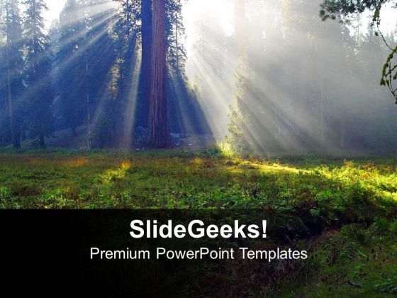 Sunrays On Tree Nature PowerPoint Templates Ppt Backgrounds For Slides 1212 Sunrays On Tree Nature PowerPoint Templates Ppt Backgrounds For Slides 1212