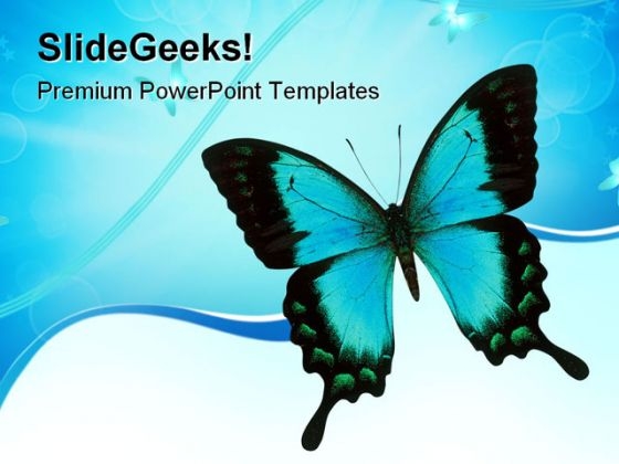 Swallowtail Butterfly Animals PowerPoint Themes And PowerPoint Slides 0811 Swallowtail Butterfly Animals PowerPoint Themes And PowerPoint Slides 0811