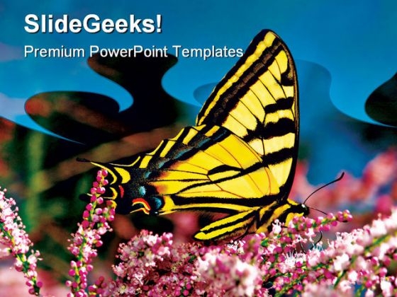 Swallowtail Butterfly Nature PowerPoint Themes And PowerPoint Slides 0511 Swallowtail Butterfly Nature PowerPoint Themes And PowerPoint Slides 0511