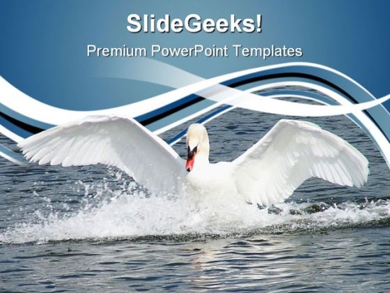 Swan Animals PowerPoint Themes And PowerPoint Slides 0611 Swan Animals PowerPoint Themes And PowerPoint Slides 0611