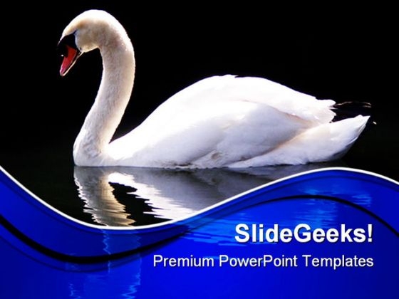 Swan Reflected Animals PowerPoint Themes And PowerPoint Slides 0511 Swan Reflected Animals PowerPoint Themes And PowerPoint Slides 0511